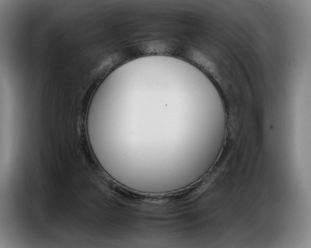 X0000087360161200704200833