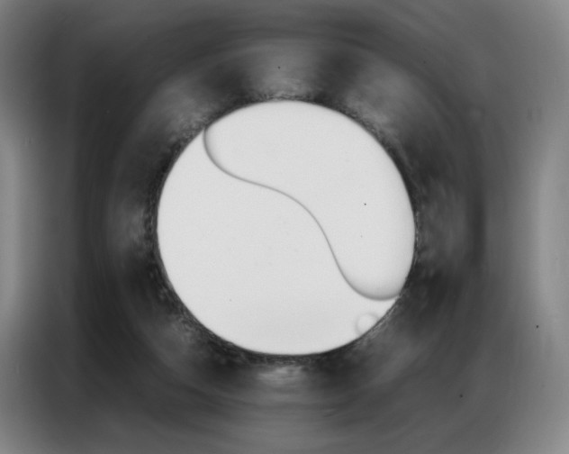 X0000087360162200704200833