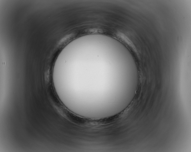 X0000087360163200704200833
