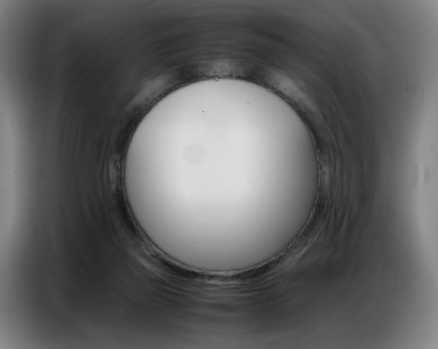 X0000087360165200704200833