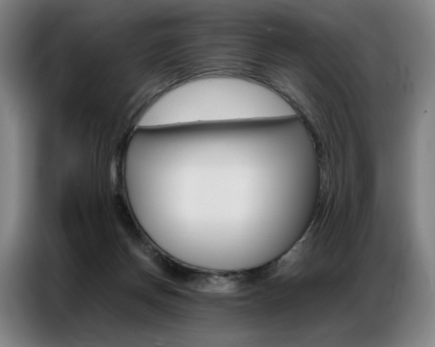 X0000087360166200704200833