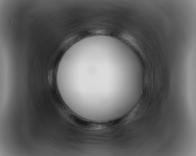 X0000087360167200704200833
