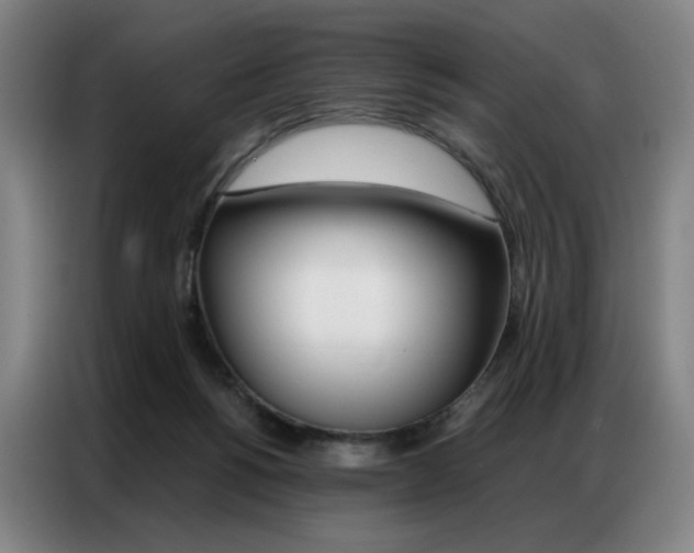 X0000087360168200704200833