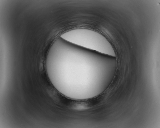 X0000087360169200704200833
