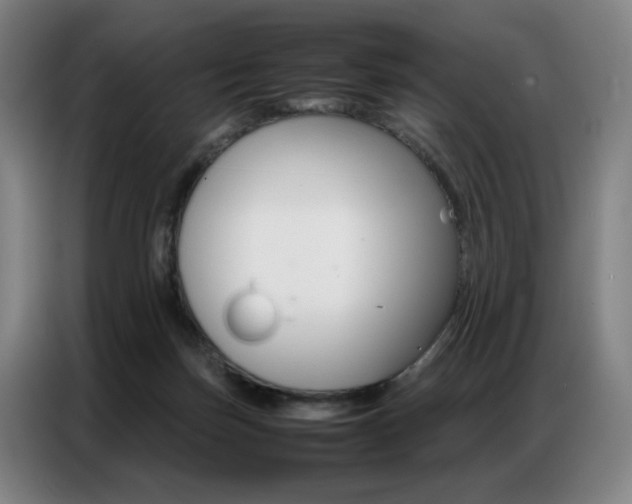 X0000087360171200704200833