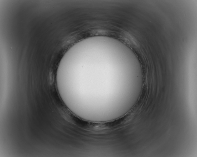 X0000087360173200704200833