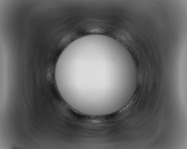 X0000087360175200704200833