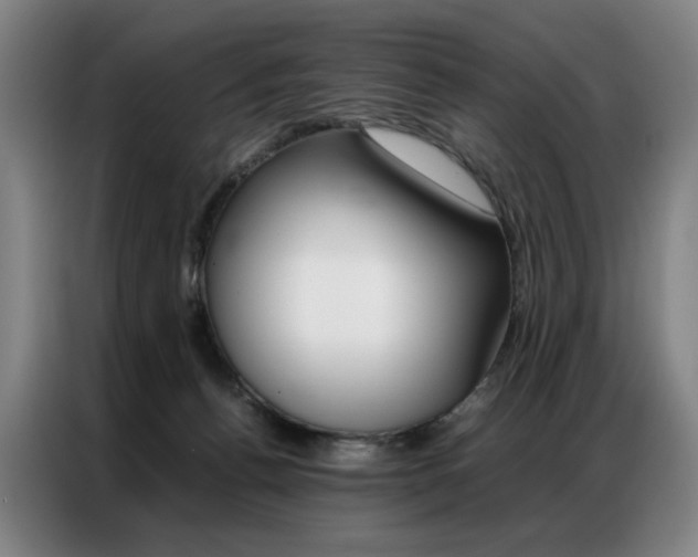 X0000087360176200704200833