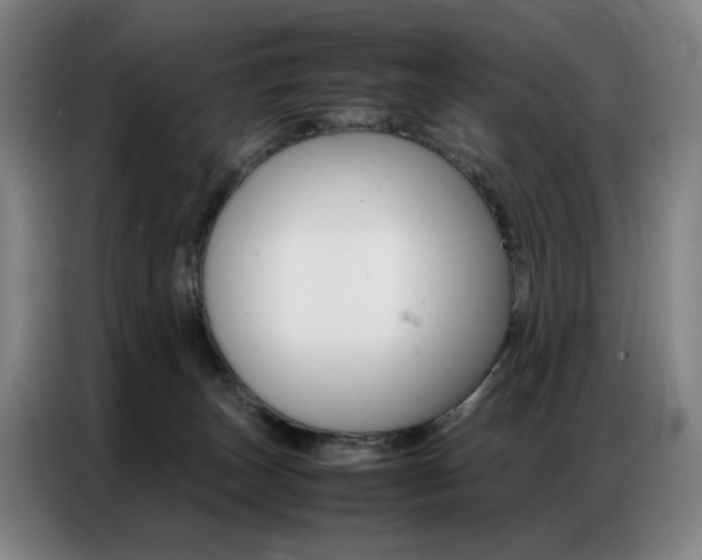 X0000087360179200704200833