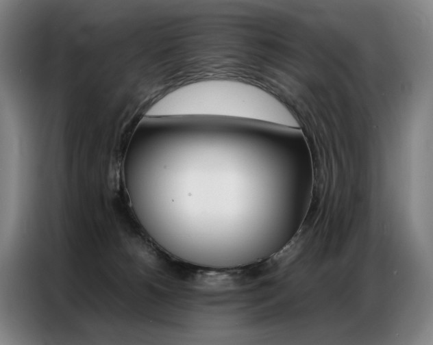 X0000087360180200704200833