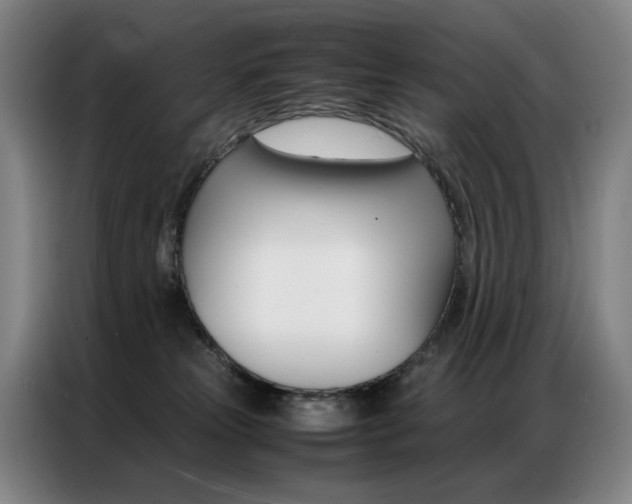 X0000087360181200704200833