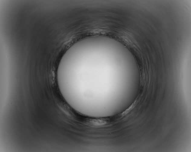 X0000087360183200704200833