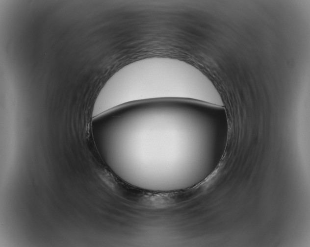 X0000087360186200704200833