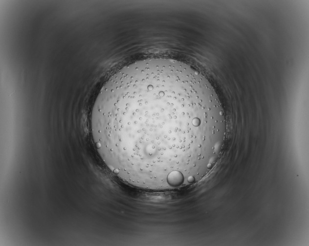 X0000087360187200704200833