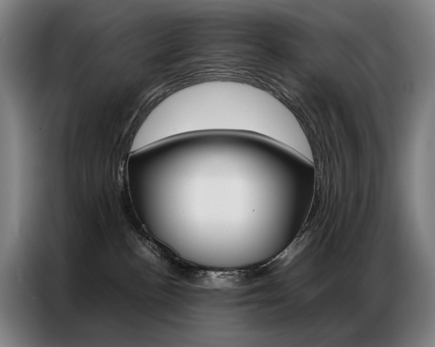 X0000087360188200704200833