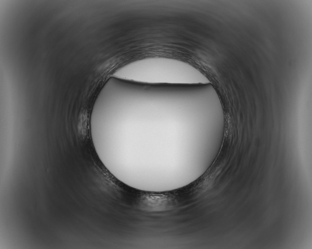 X0000087360189200704200833
