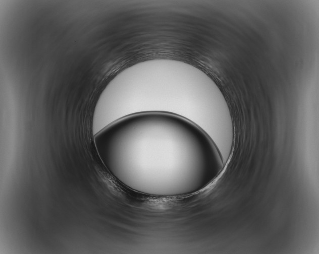 X0000087360190200704200833