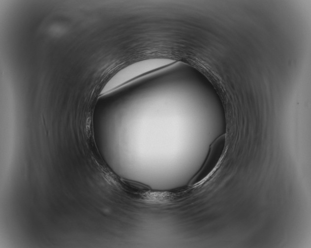 X0000087360192200704200833