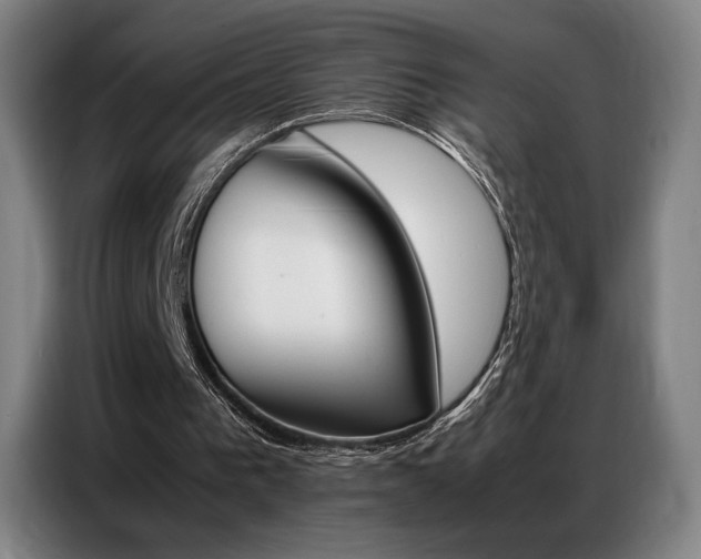 X0000087360193200704200833