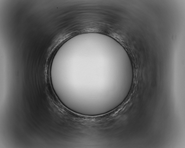 X0000087360194200704200833