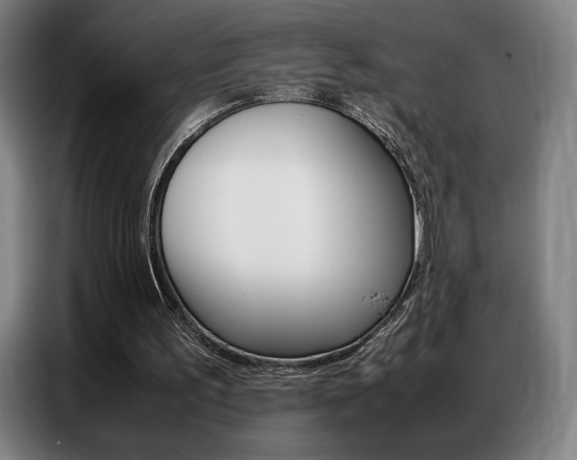 X0000087360195200704200833