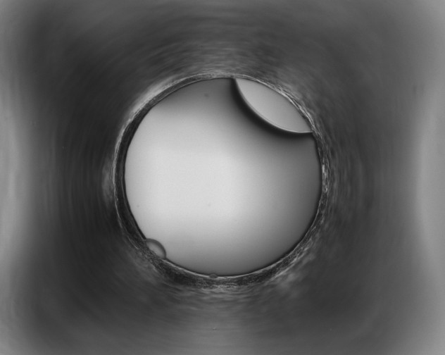 X0000087360196200704200833