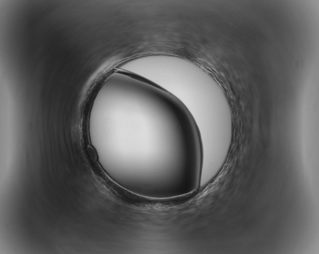 X0000087360197200704200833