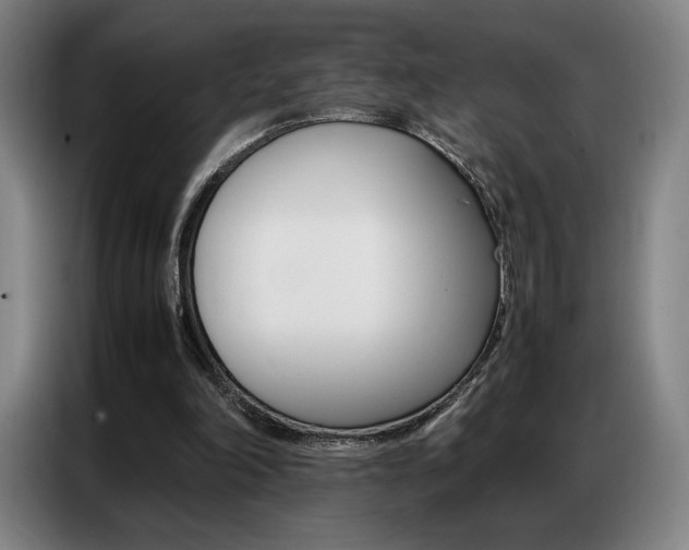 X0000087360198200704200833