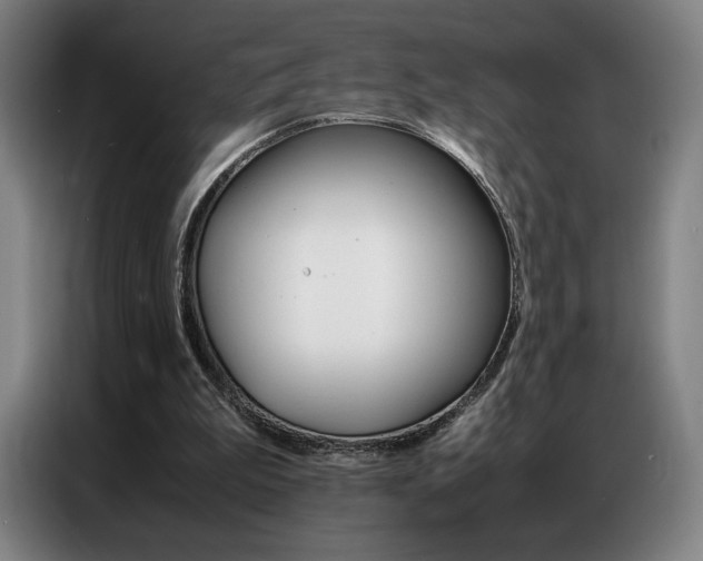 X0000087360199200704200833