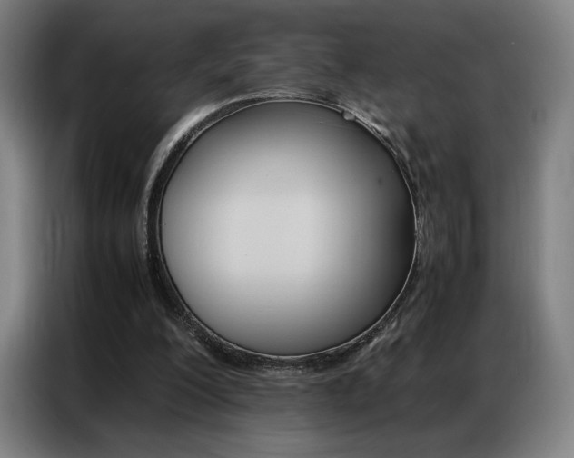 X0000087360200200704200833