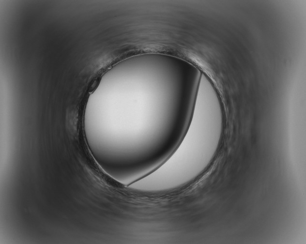 X0000087360201200704200833
