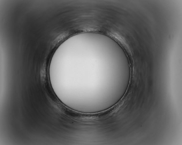 X0000087360202200704200833