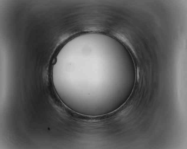 X0000087360204200704200833