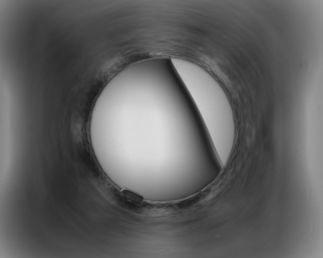 X0000087360209200704200833