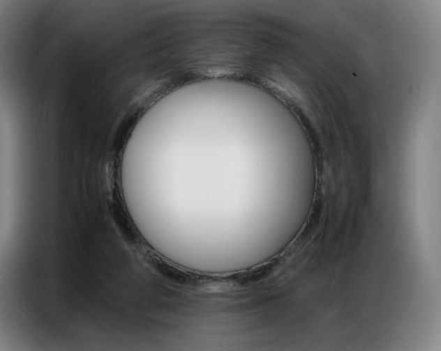 X0000087360210200704200833