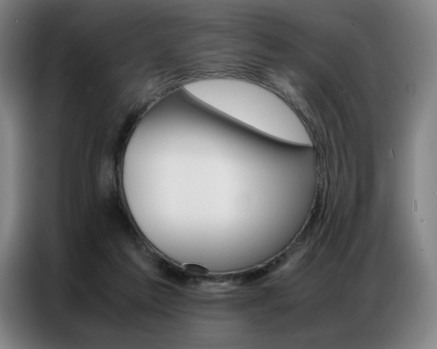 X0000087360213200704200833