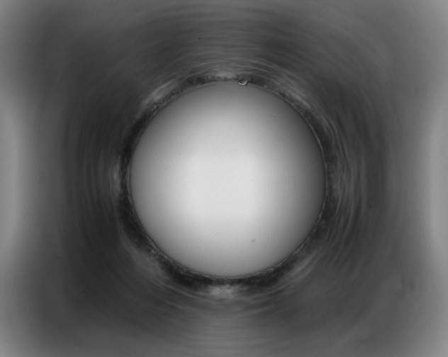 X0000087360216200704200832