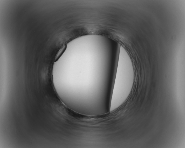 X0000087360221200704200832