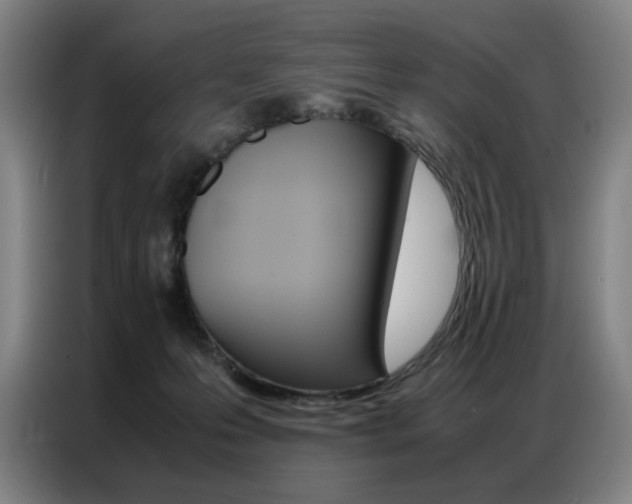 X0000087360223200704200832