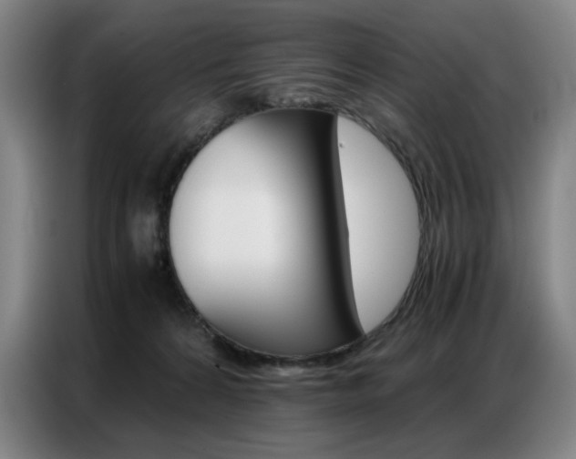 X0000087360224200704200832