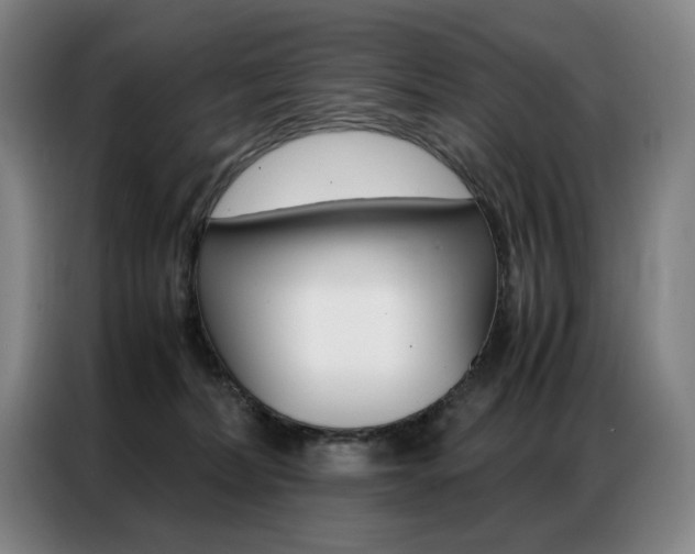 X0000087360228200704200832