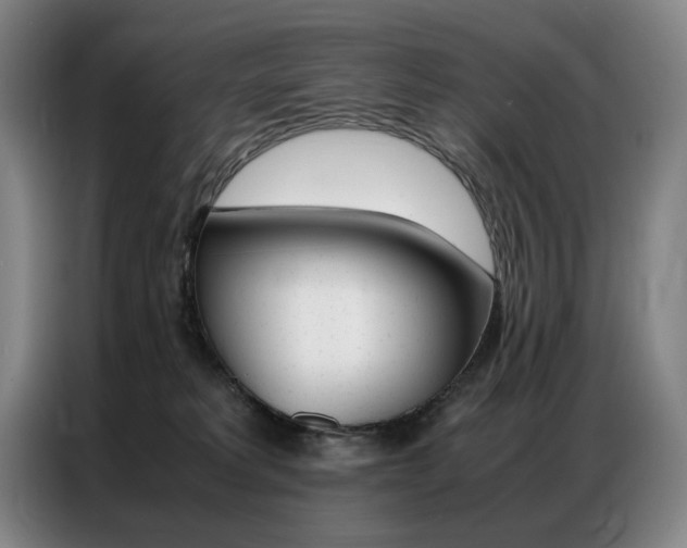 X0000087360229200704200832