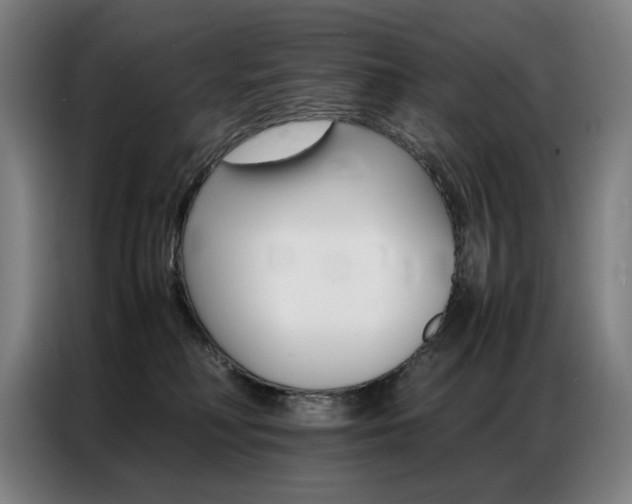 X0000087360230200704200832