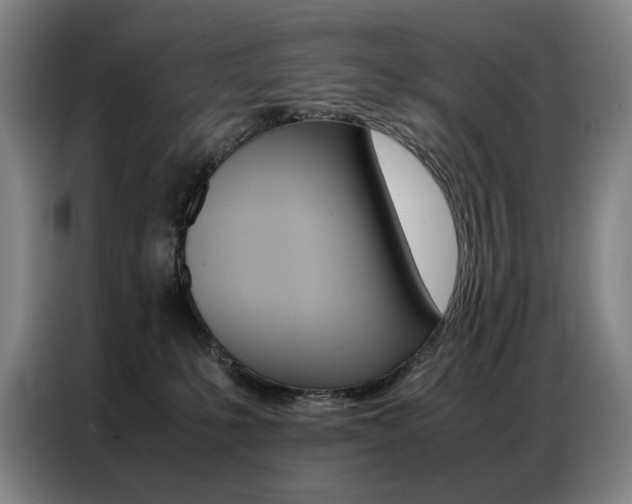 X0000087360231200704200832