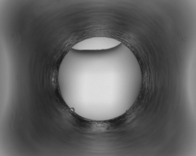 X0000087360234200704200832