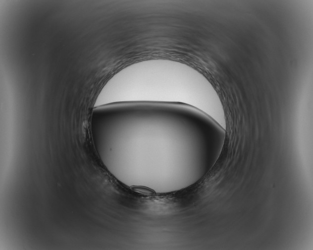 X0000087360235200704200832