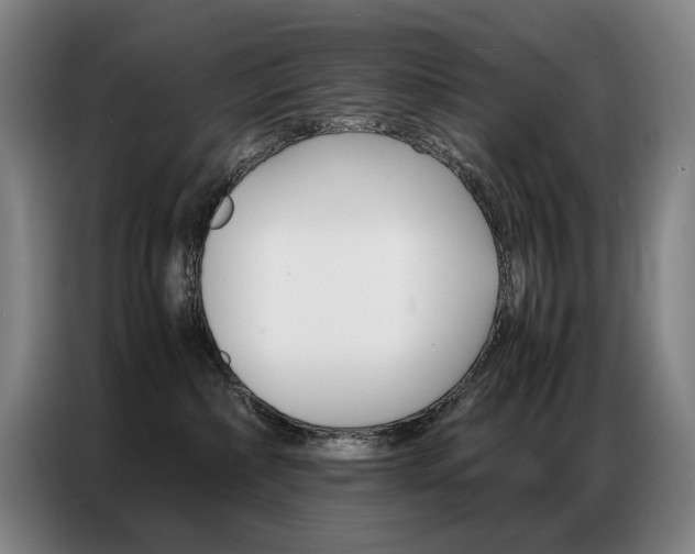 X0000087360236200704200832