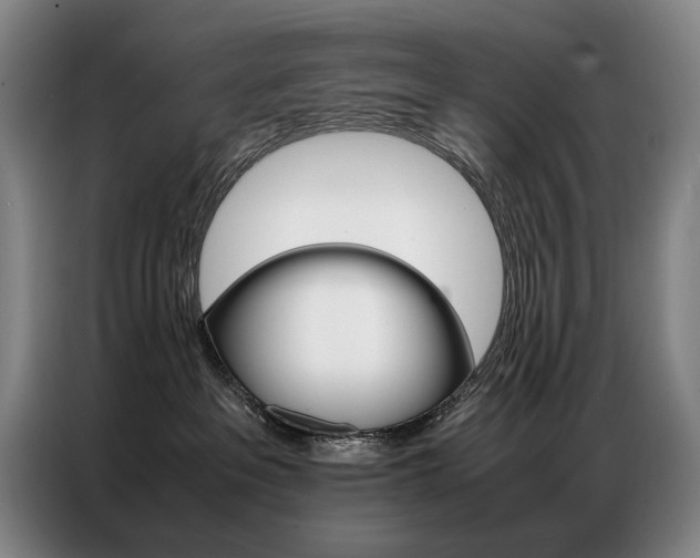 X0000087360237200704200832