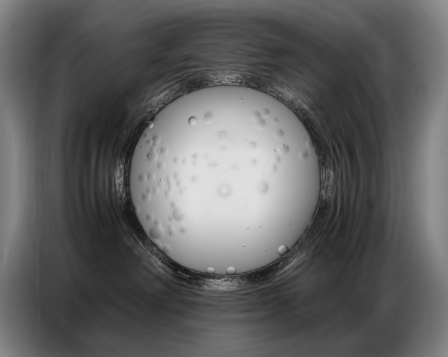 X0000087360238200704200832