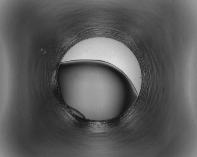 X0000087360239200704200832